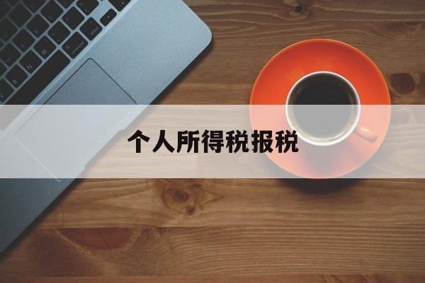 个人所得税报税(网上申报个人所得税)